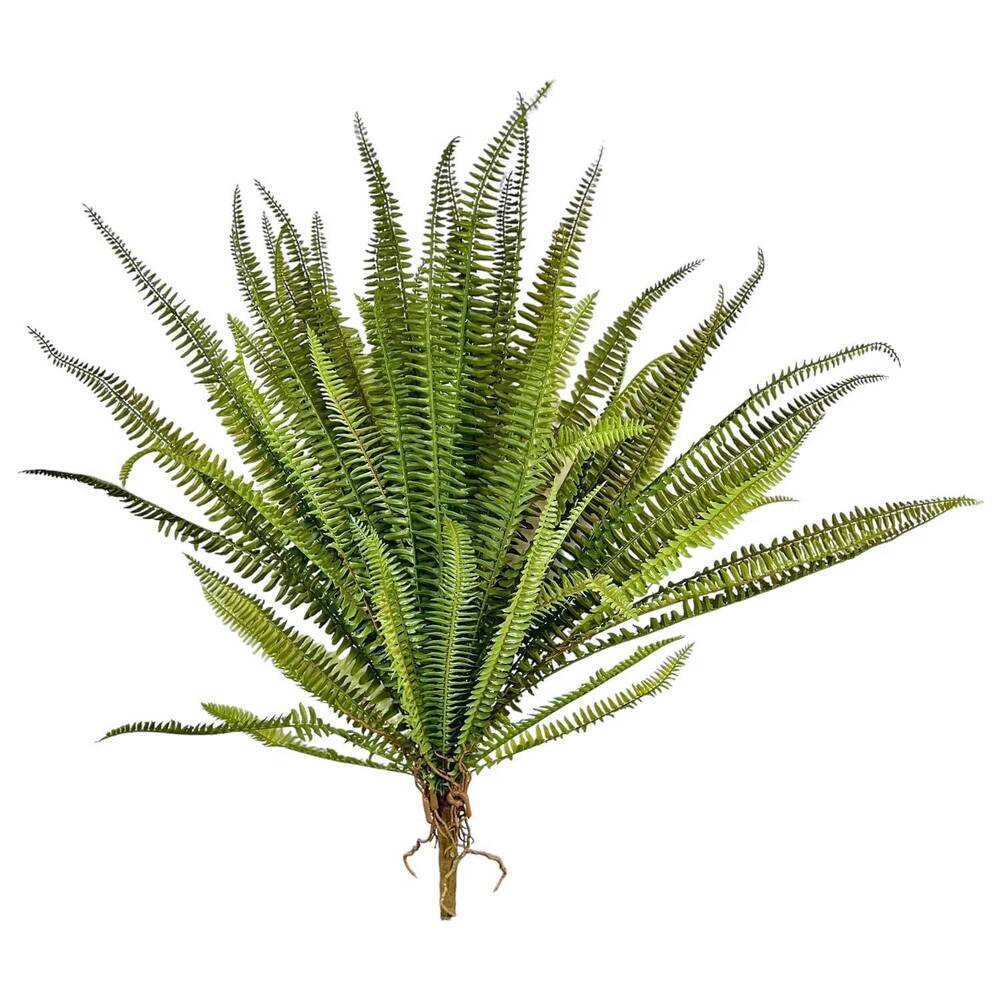 NEW K&K INTERIORS boston fern bush in green